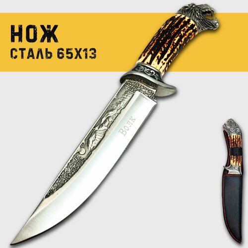 Нож для охоты, туризма 'Волк', длина клинка 17 см, сталь 65Х13, ножны кордура