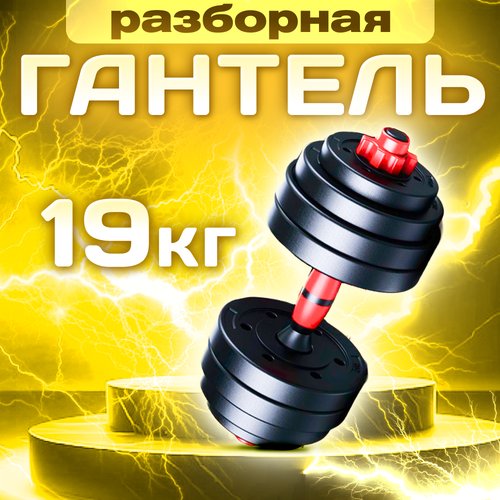 Гантель разборная Атлант 19,5 кг 1 шт