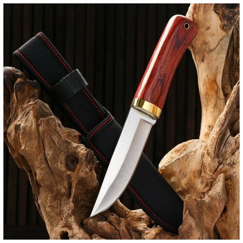 Нож охотничий 'Алвар' 24,5см, клинок 130мм/3мм, коричневый