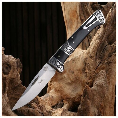 Витязь Нож складной 'Вьюн' сталь - 420, рукоять - дерево, 20 см
