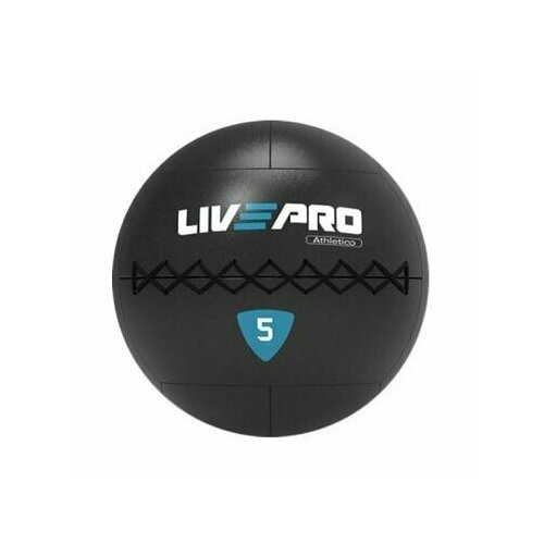 Мяч набивной утяжеленный Wall Ball Livepro LP8103-10