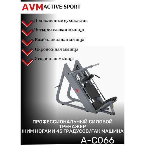 Профессиональный силовой тренажер для зала Жим ногами 45 градусов/Гак машина AVM A-C066