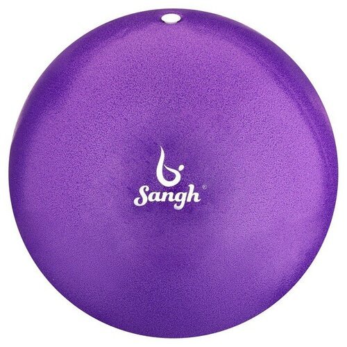 Sangh Мяч для йоги, 25 см, 100 г, цвет фиолетовый