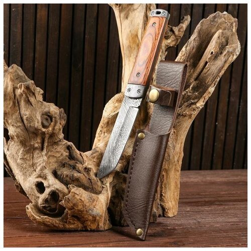 Нож охотничий 'Танто', 23 см, клинок 9,5 см