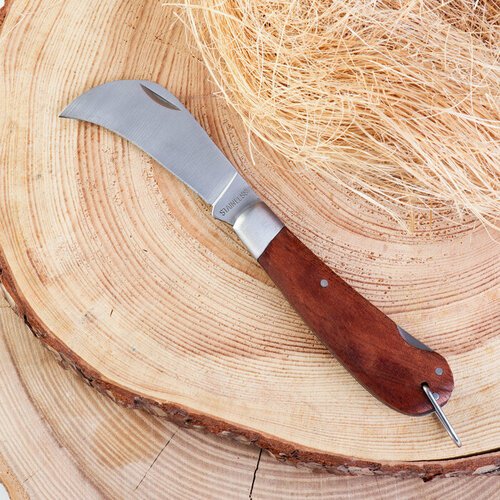 Нож складной 'Грибник' 19см, клинок 80мм/2,5мм, рукоять дерево