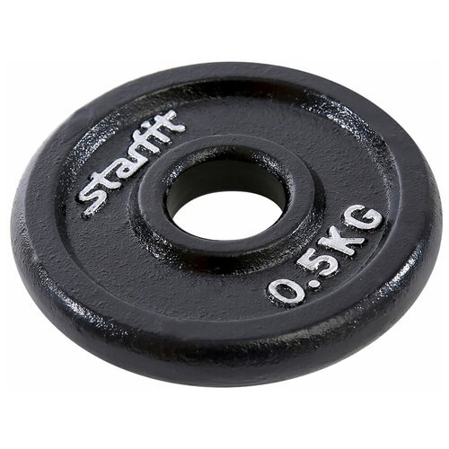 Диск чугунный STARFIT BB-204 0,5 кг d=26мм (черный)