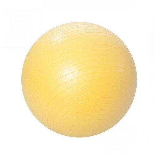 Гимнастический мяч с системой антиразрыв 55 см. (с насосом), М-255, размер: 55 см.