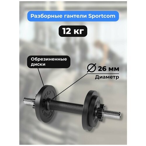 Гантель разборная Sportcom D26 12 кг